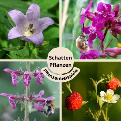 FuturePlanter "Schatten Pflanzen" Wildstauden-Set Alle Pflanzen Im Shop