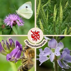 FuturePlanter "Winterthur" Wildstauden-Set